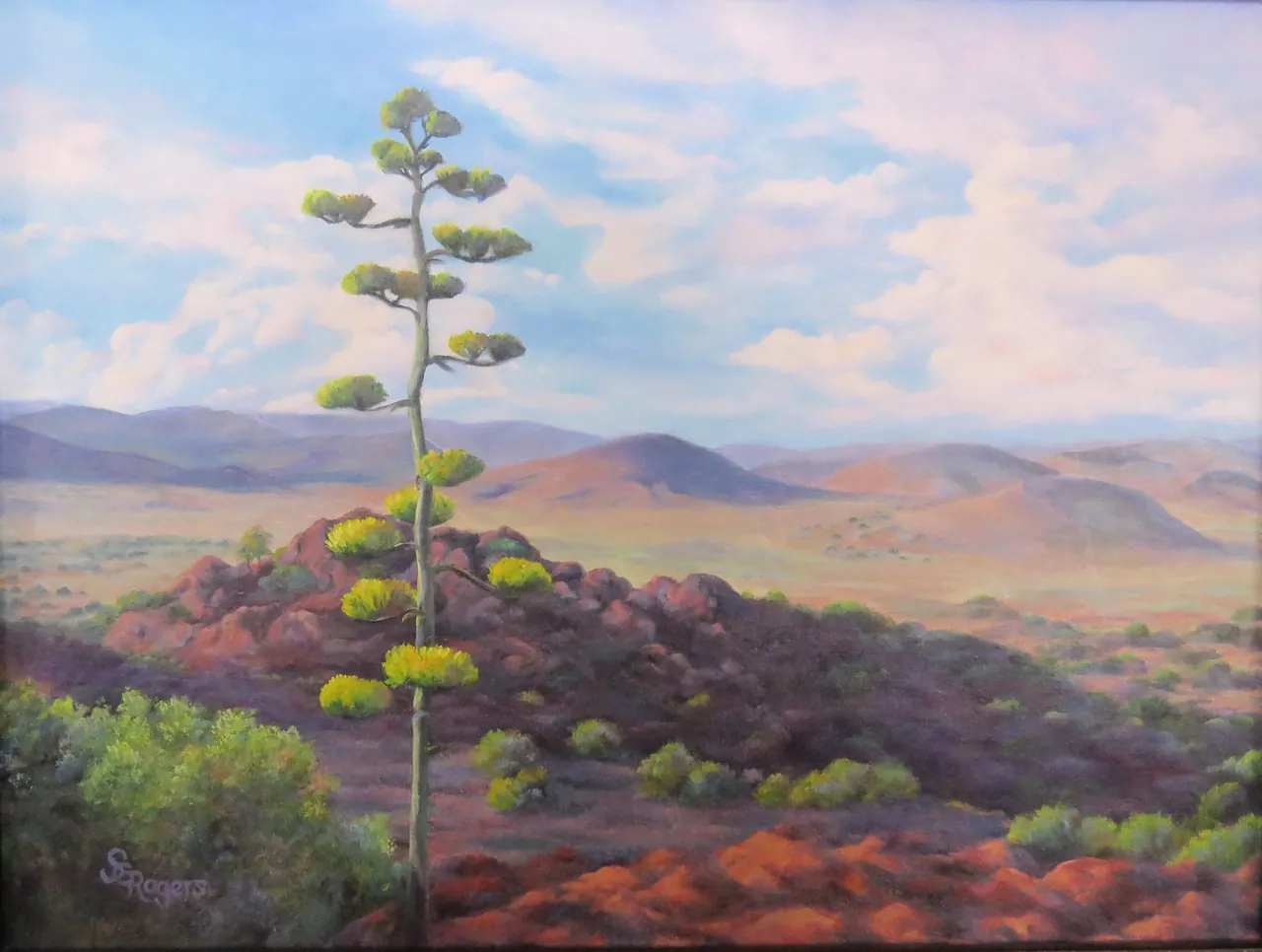 Painting of a century plant rising from a rocky hilltop above a wide desert valley under a soft sky.